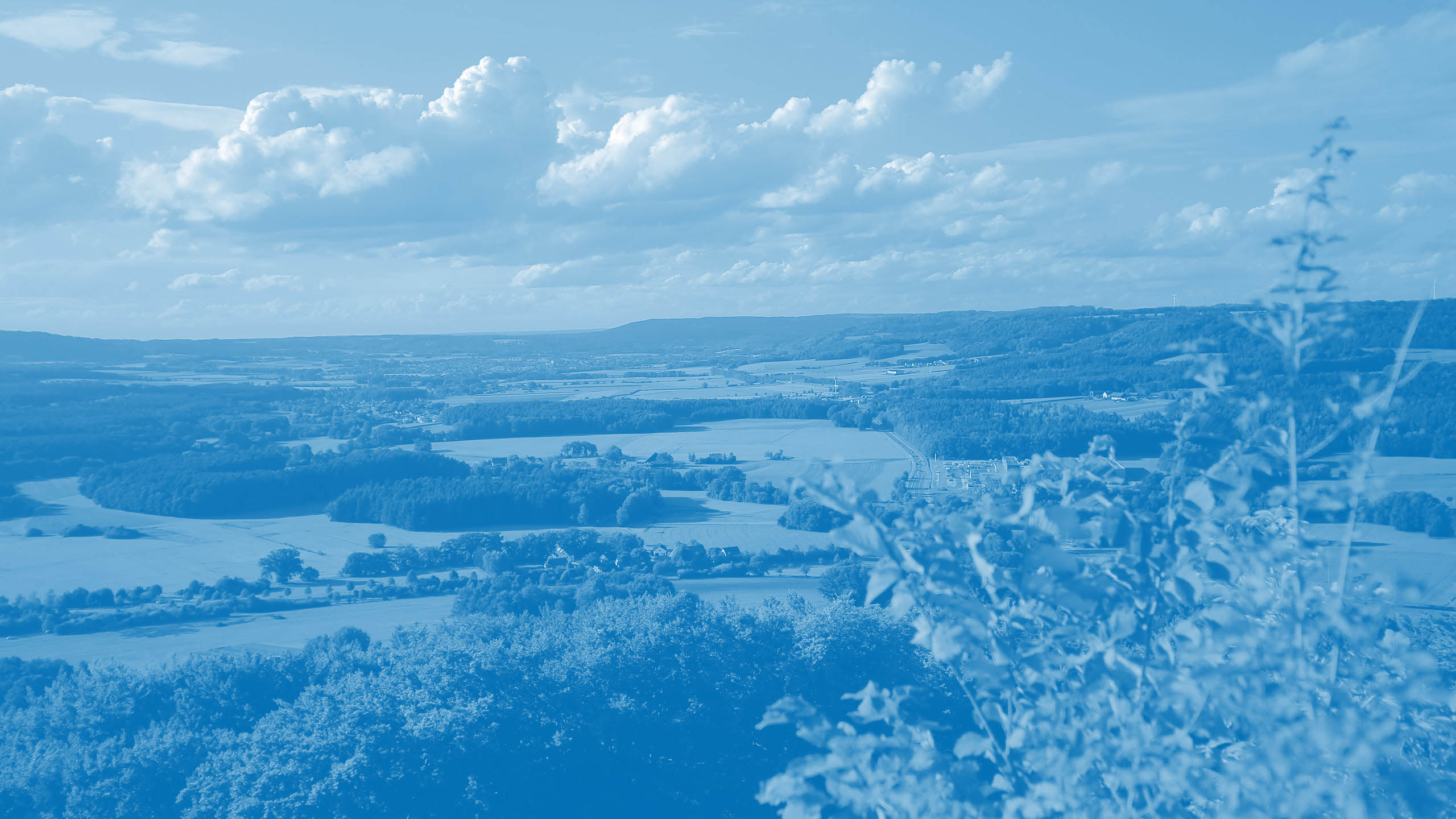 Panoramablick über eine sommerliche Landschaft mit Feldern, Wiesen und Wald symbolisiert die Unabhängigkeit von Oberpfalz Medien.